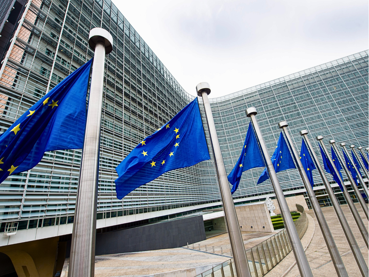 Poland’s Defense-Led Growth Strategy: Highest NATO Defense Share and Its Economic Trade-offs