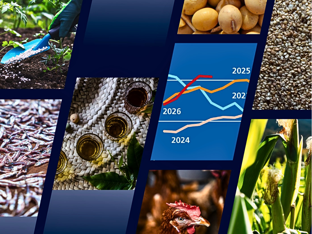 The image represent the FoodImportBillHits-CerealOutputDrops-ElNino-EnergyRisks