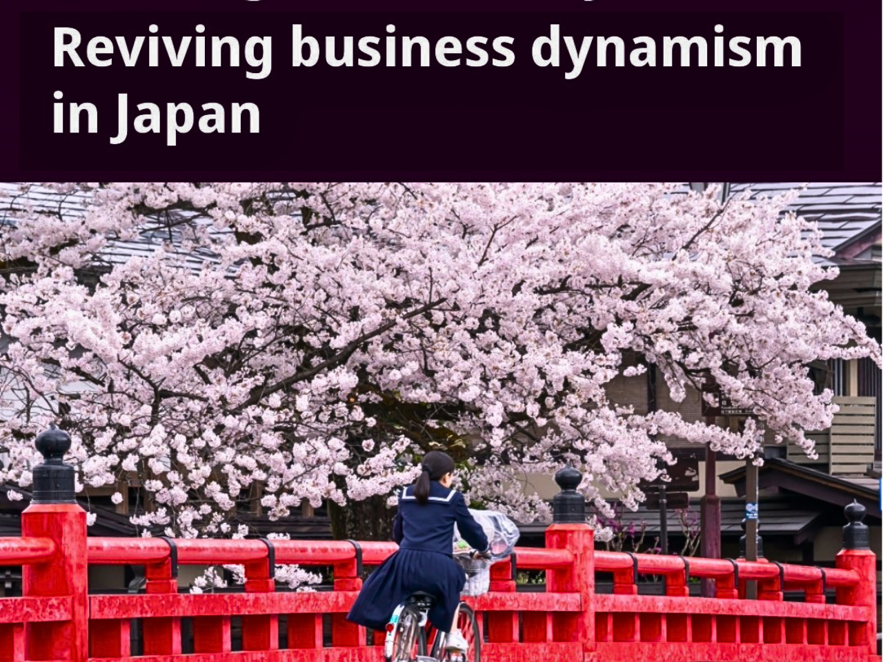 The image represent the japan business dynamis